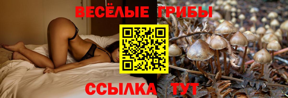 Галлюциногенные грибы Cubensis Куйбышев