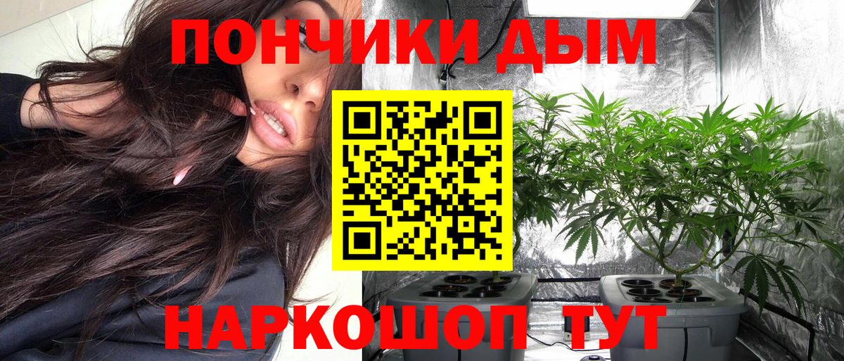 Бошки марихуана AK-47  Вход с VPN  Куйбышев  Каннабис ГИДРОПОН 